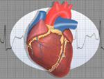 Un robot-calamita per curare le aritmie cardiache